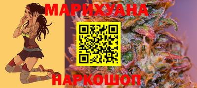 Альфа ПВП Канаш