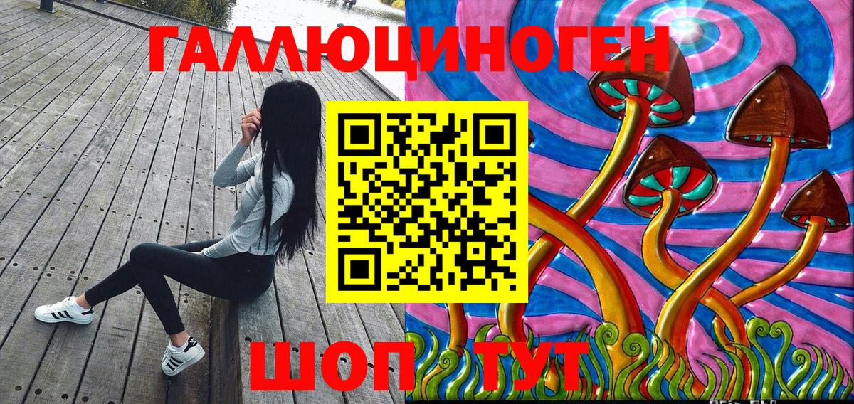 Кувандык  Галлюциногенные грибы GOLDEN TEACHER  купить   Псилоцибиновые грибы Psilocybine cubensis  Вход с VPN 